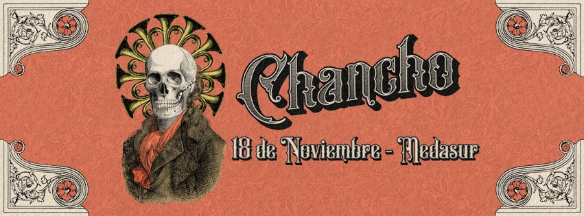 Chancho_Medasur_Hor.jpg