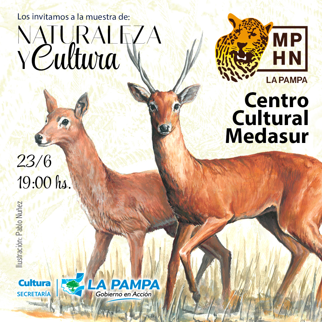 Flyer_NC_Medasur.jpg