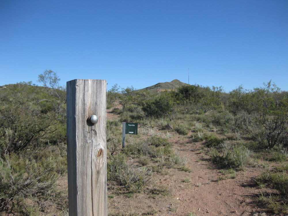 cerro_negro_1.jpg