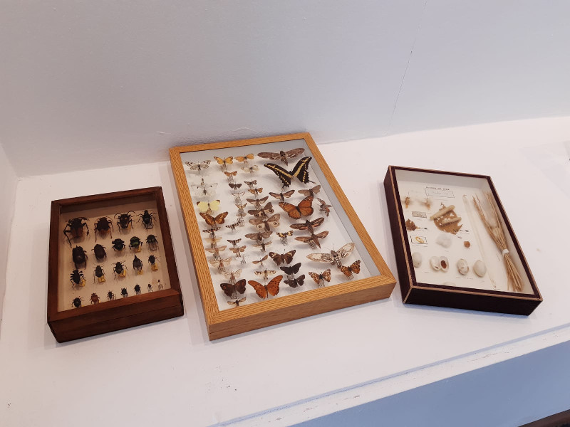 maripoas.jpg
